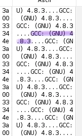 A close-up crop of a hex editor showing the string "GCC: (GNU) 4.8.3"