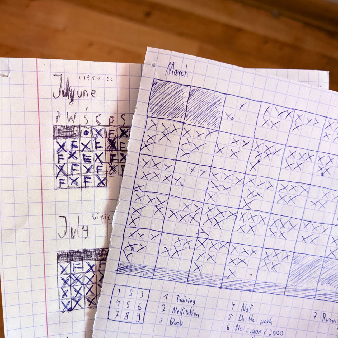 Paper pages with my habit trackers